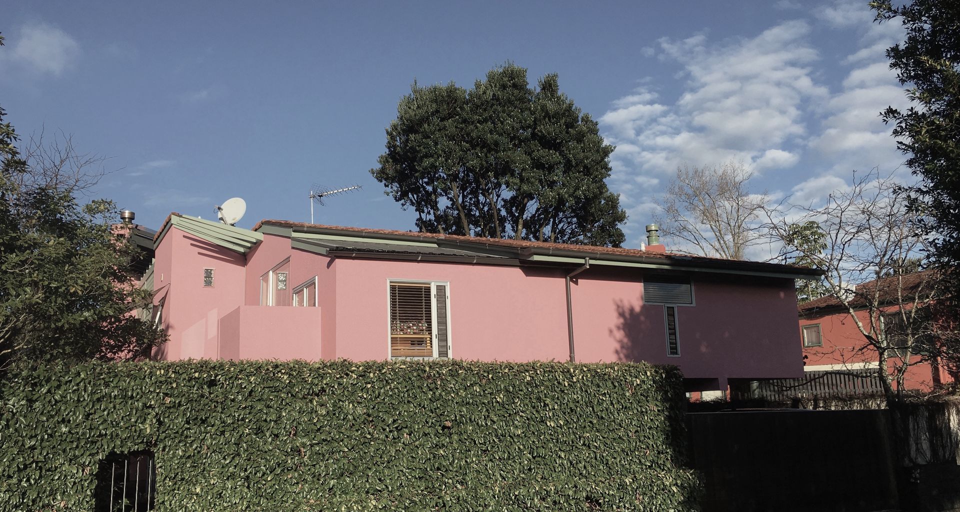 Red & Pink House banner