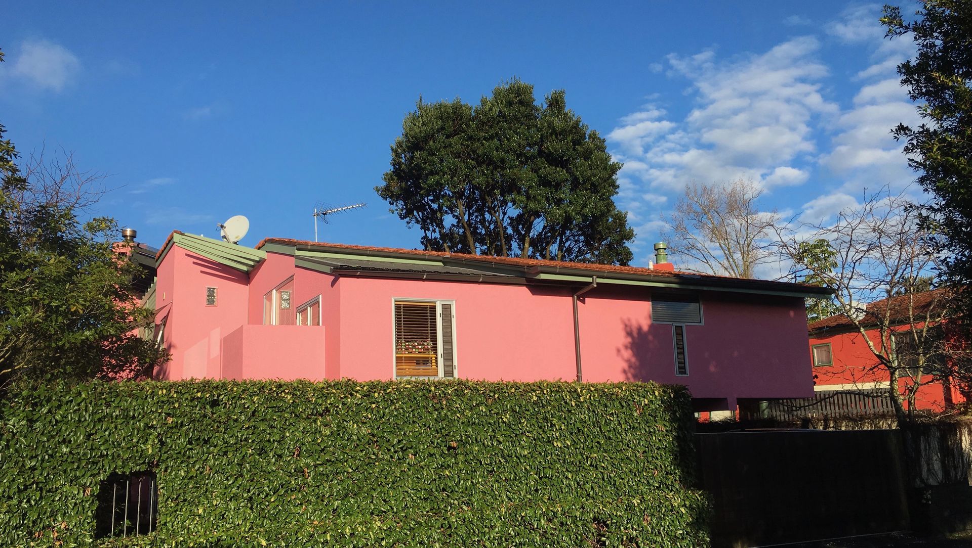 Red & Pink House banner