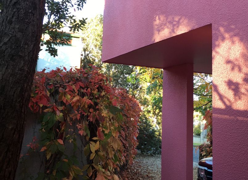Red & Pink House