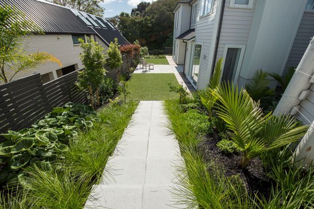 A landscaped residential walkway leads between two closely spaced modern homes. Large concrete stepping slabs run through lush ornamental planting, including palms, grasses, shrubs and broad-leaf groundcover. The homes feature light weatherboard-style cladding, dark metal roofing, large windows and a neatly maintained shared garden setting.