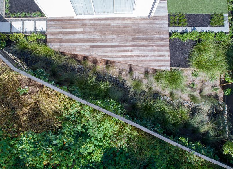 Remuera Residential Landscaping