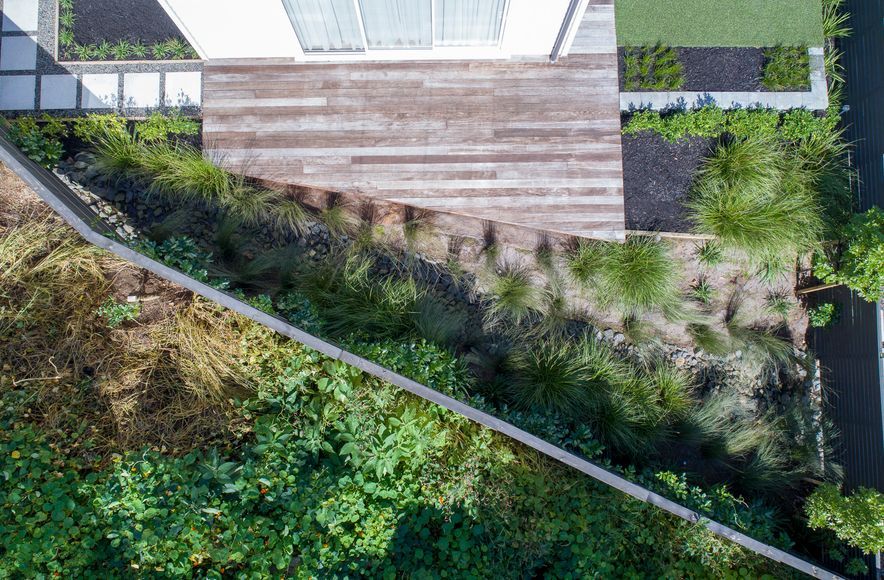 Remuera Residential Landscaping