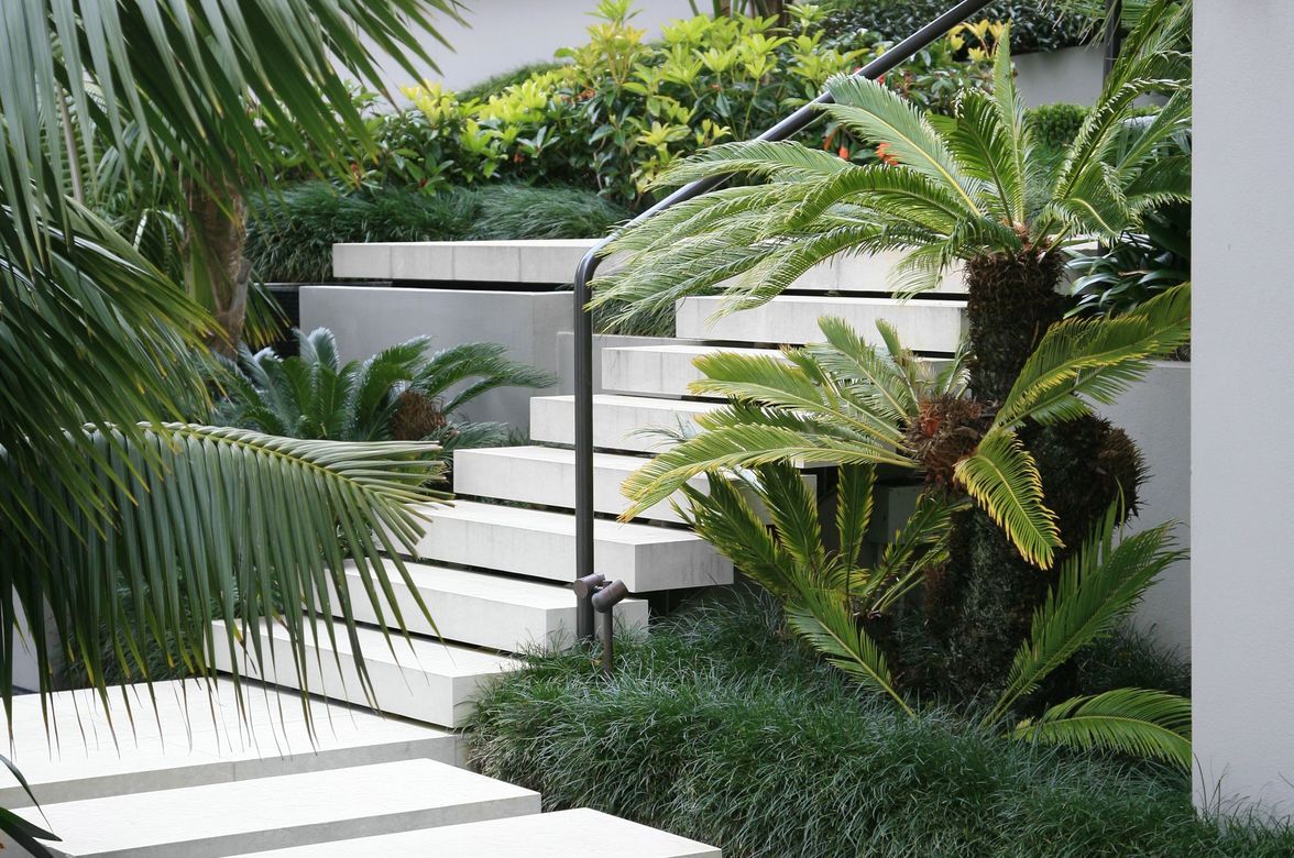Remuera Garden & Pool