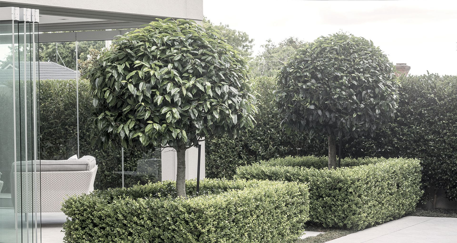 Remuera House IV banner