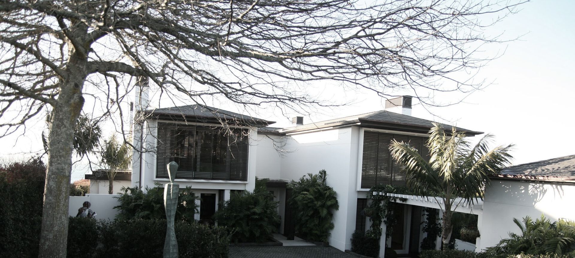 Remuera New Build banner