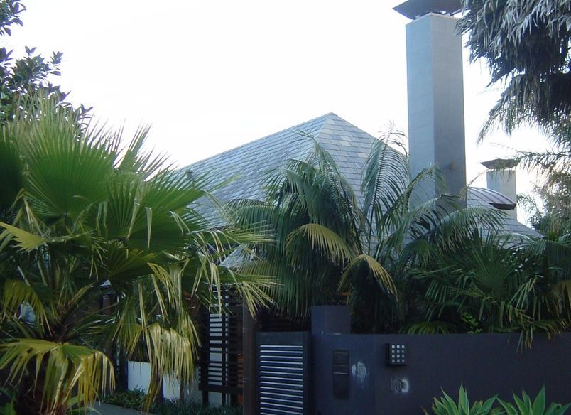 Remuera Tropical Luxe