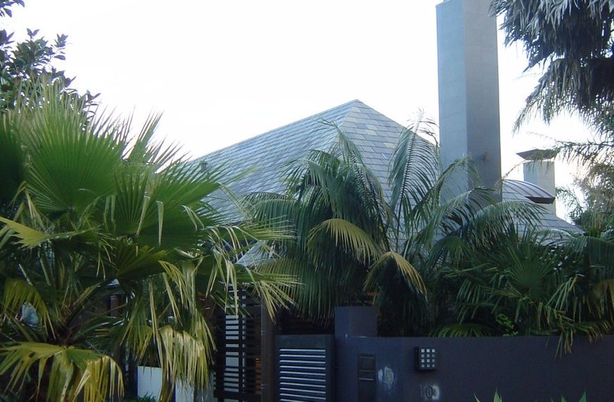 Remuera Tropical Luxe