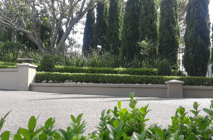 Remuera | Auckland