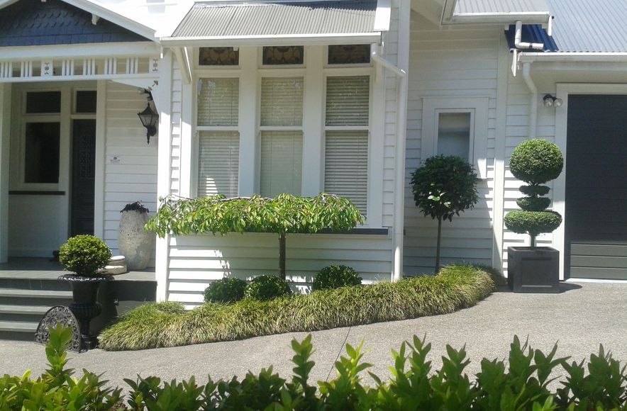 Remuera | Auckland