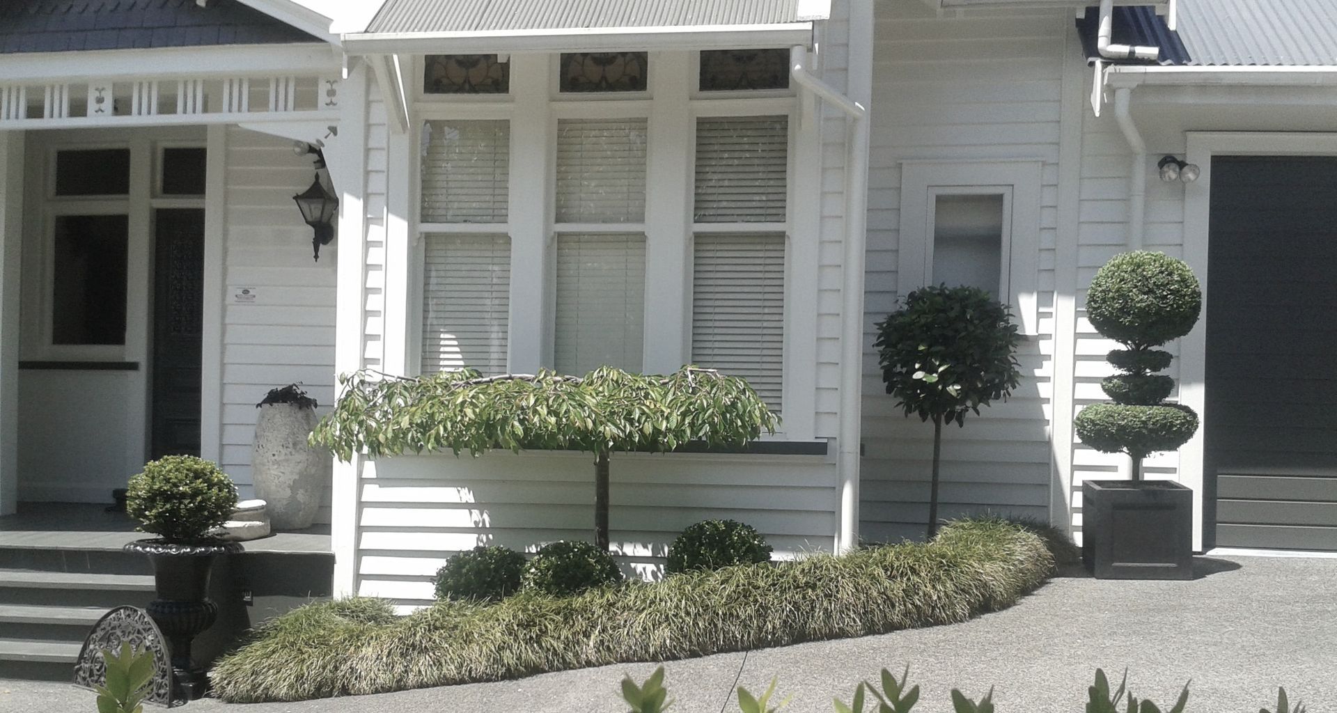 Remuera | Auckland banner