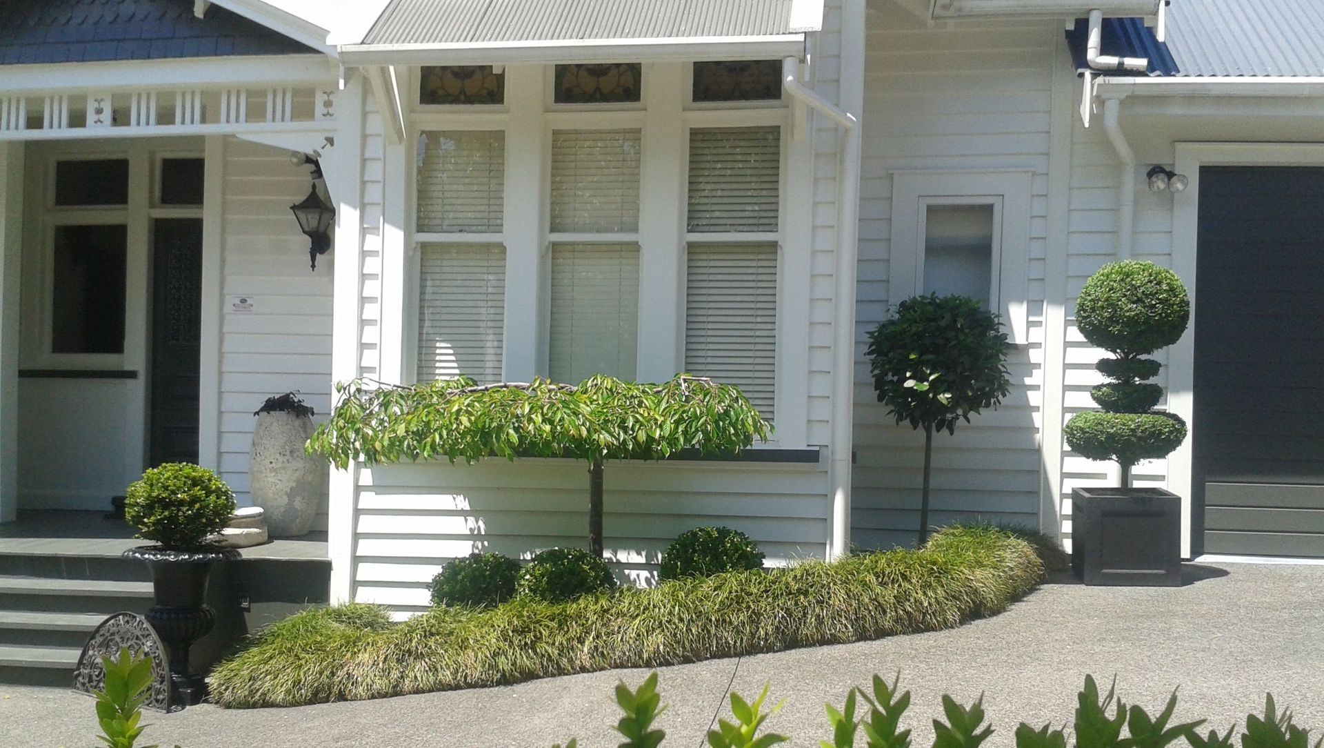 Remuera | Auckland banner