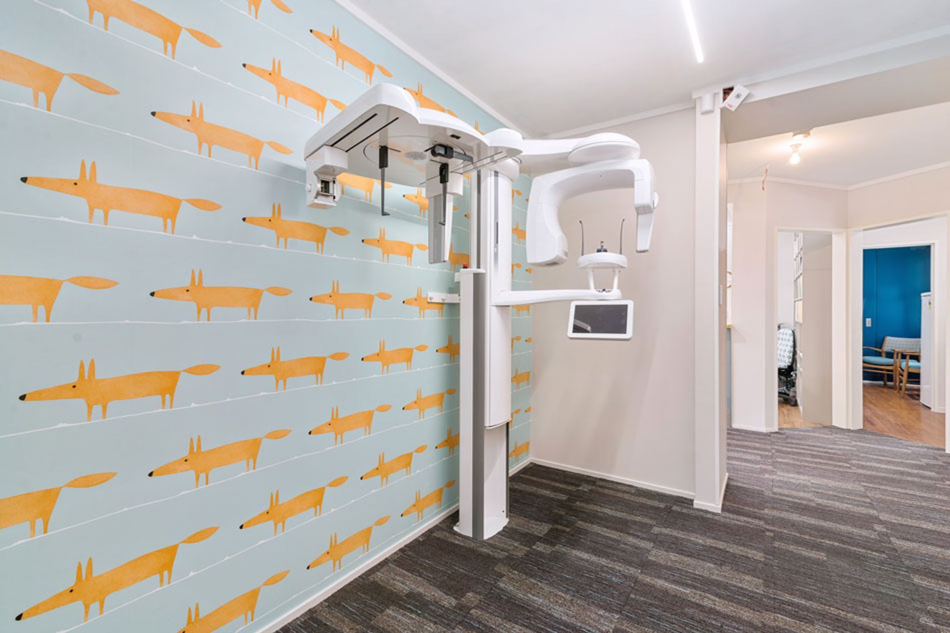 Using wallpaper in the x-ray area creates a zone in this area