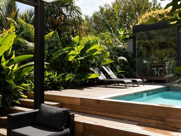 A lush tropical outdoor pool area with a timber deck, raised pool edge, black-framed glazing, and dark outdoor lounge seating. Dense palms and broad-leaf planting surround the pool, creating a private resort-like setting.
