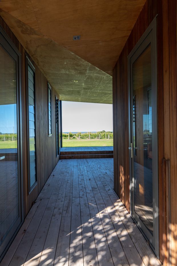 A narrow, covered outdoor passage or verandah between timber-clad walls, with extensive dark-framed glazing and doors on both sides. The space has a timber plank floor and warm timber-lined ceiling, opening toward a grassy rural landscape and vineyard-like rows beyond. Strong sunlight creates patterned shadows across the floor.