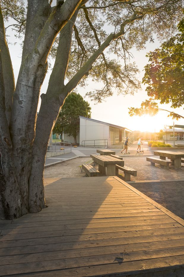 Sunlit outdoor courtyard or public campus space with a large mature tree integrated into a broad timber boardwalk deck. Concrete picnic tables and benches occupy a paved seating area, with a low modern building and accessible ramp in the background. Warm late-afternoon light creates long shadows and an inviting landscaped setting.