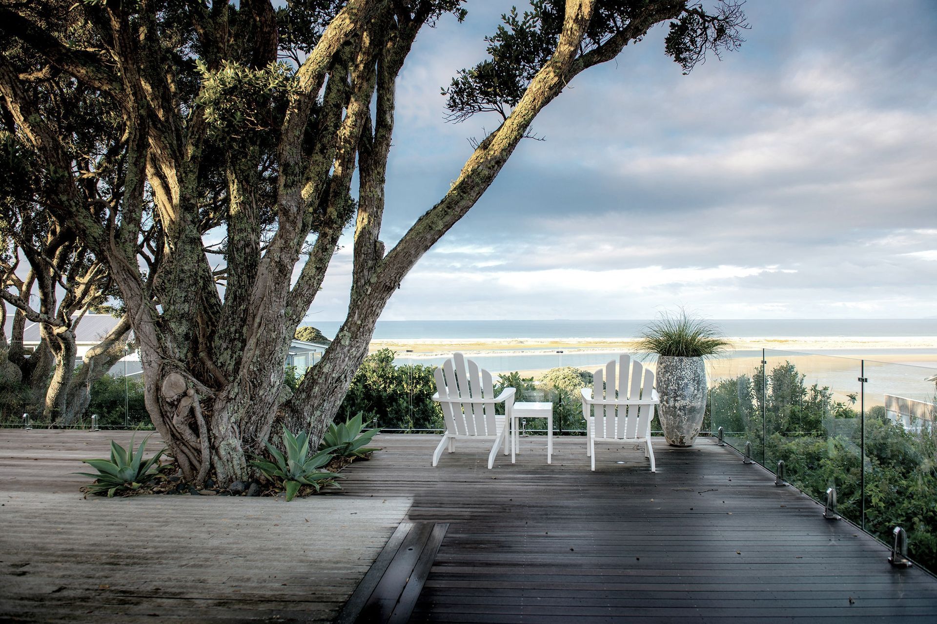 Plantpro & Sons banner