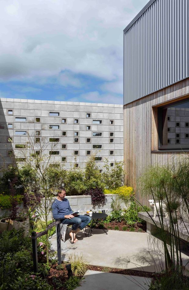A landscaped courtyard beside a contemporary building. The space features concrete paving, raised garden beds, ornamental grasses and shrubs, a small outdoor table and chairs, and a timber-clad facade with corrugated metal upper cladding. A perforated concrete block wall forms the background, with a large recessed window opening onto the courtyard.
