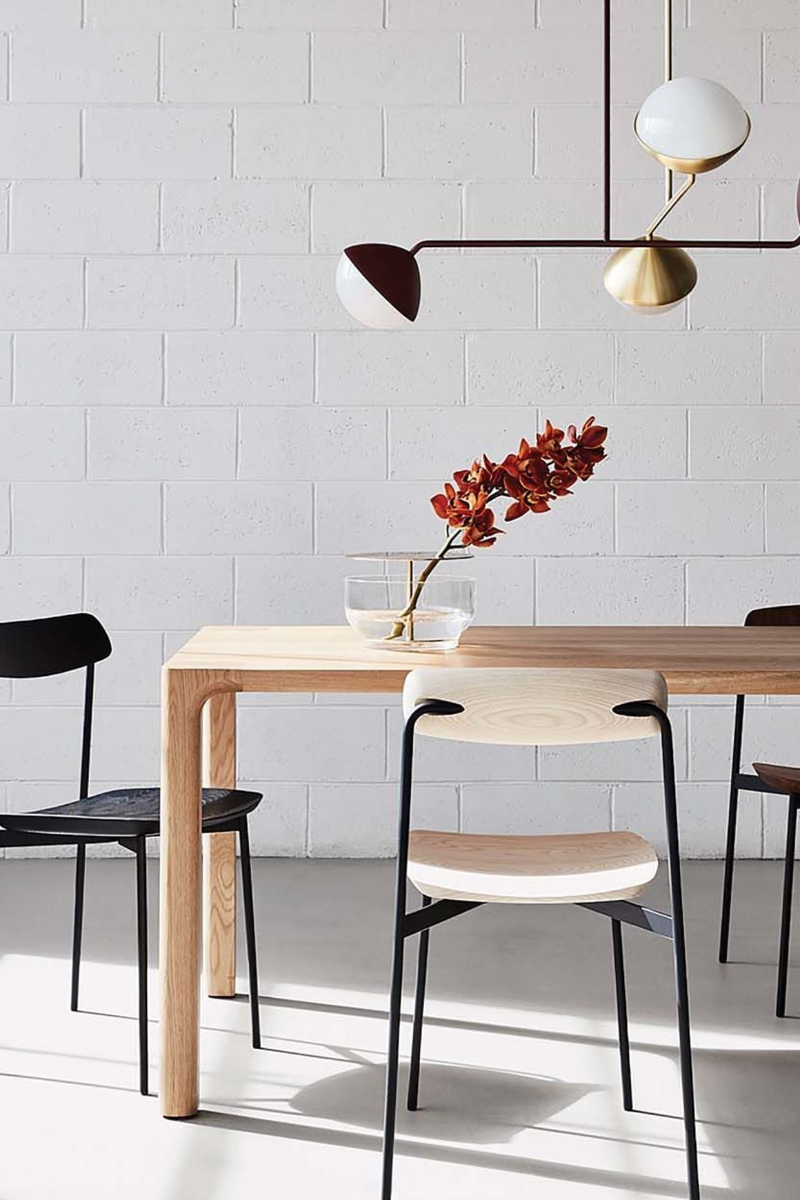 SIA Dining Chair by Nau
