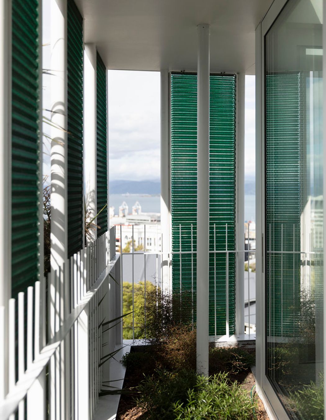 Mesh screens add interest, along with shading and wind protection to the planting.