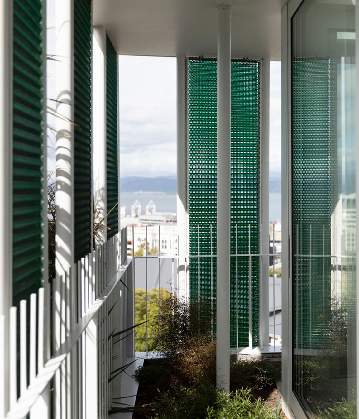 Mesh screens add interest, along with shading and wind protection to the planting.