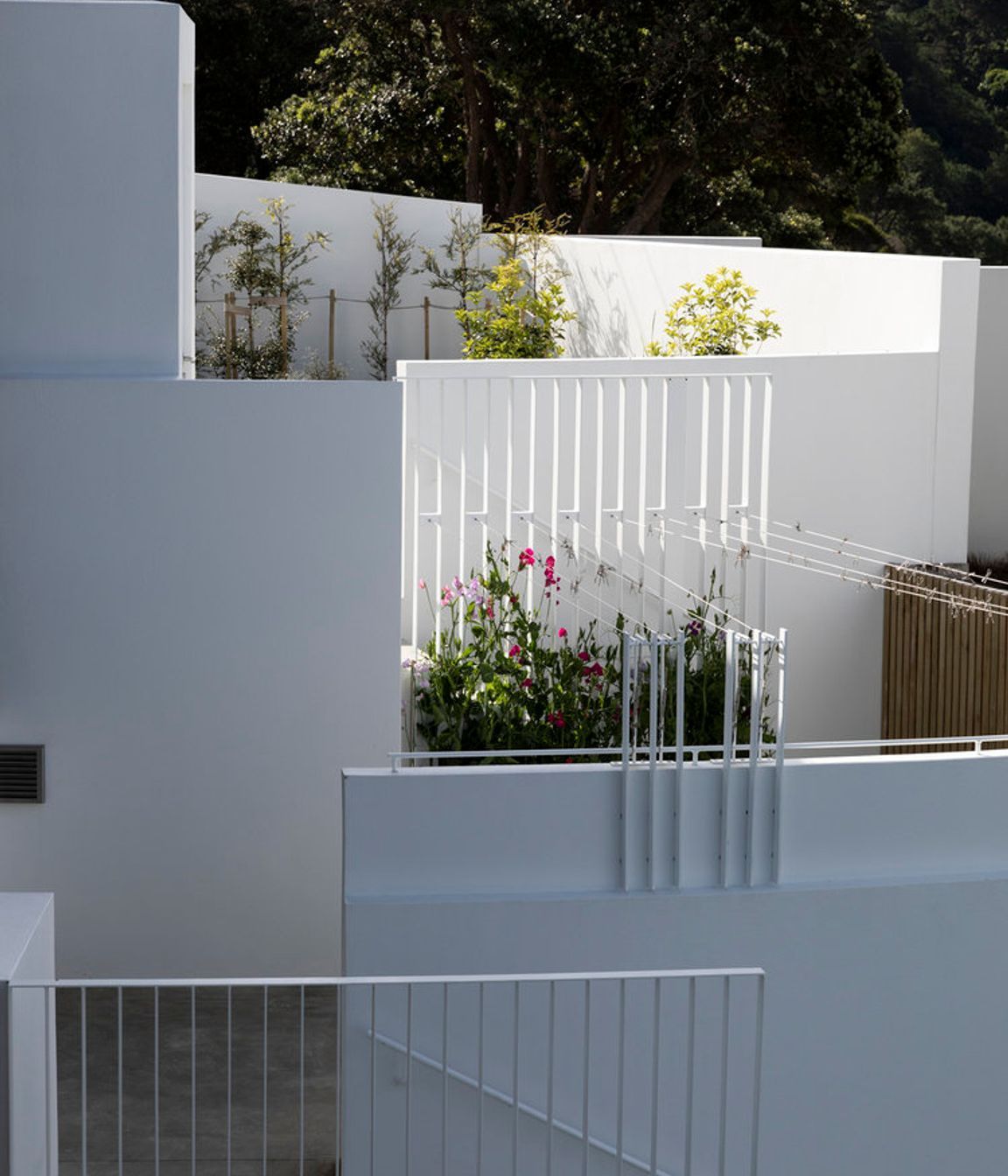 The clothes line area is shared by both apartments.