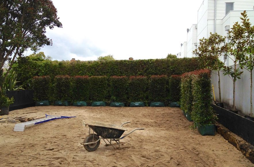 Screening With Hedges