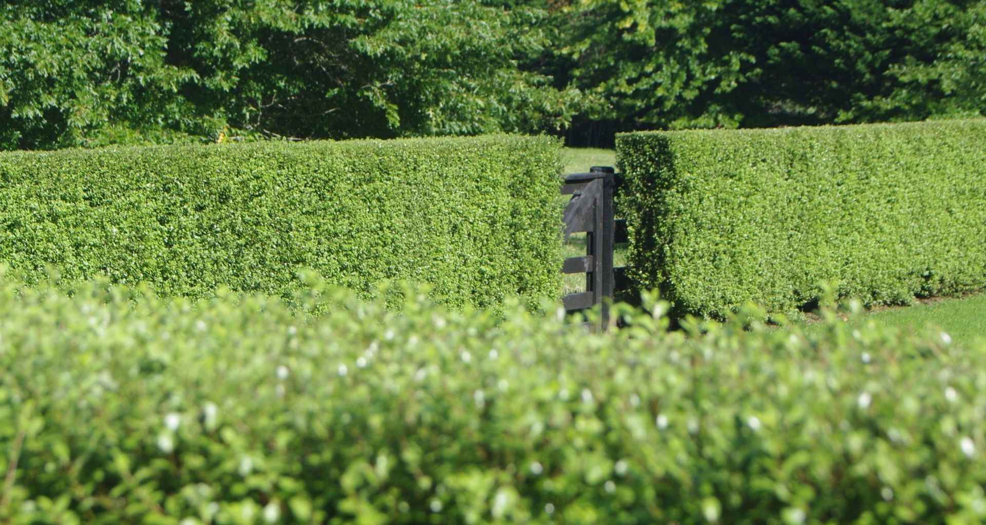Enclosing a rural garden