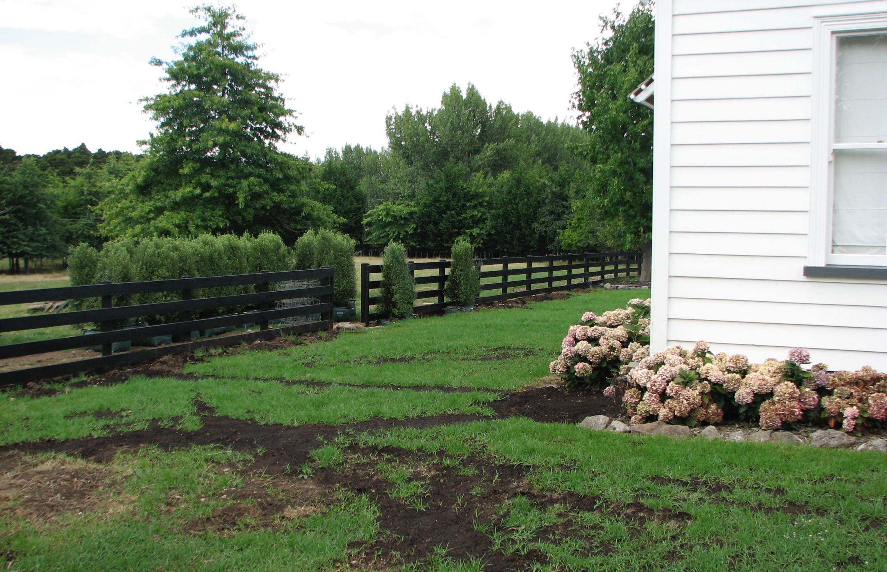 Too open to the elements?  Hedge to the rescue!