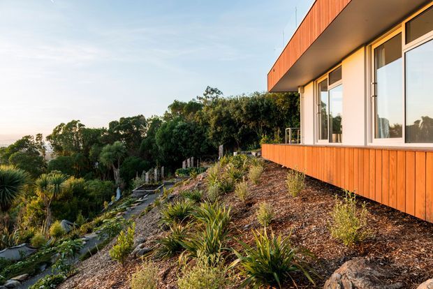 Exterior view of a contemporary single-storey building on a landscaped sloping site. The facade features warm vertical timber cladding, large white-framed windows, and broad roof overhangs. Native-style planting and a stepped garden path surround the building, with expansive greenery beyond.