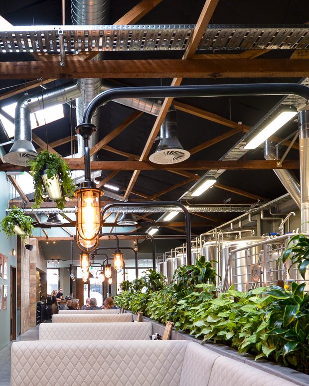 Interior view of an industrial-style hospitality venue, likely a brewery or restaurant, with stainless-steel brewing tanks along one side, exposed timber roof structure, black ceiling panels, visible metal ductwork, linear lighting, and hanging amber pendant lights. Quilted upholstered booth seating and abundant greenery create a softer dining area within the utilitarian setting.