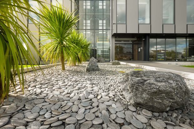 Exterior view of a modern multi-storey commercial building with extensive glazed curtain walls and dark-framed panels. The foreground features a designed rock garden with smooth pale river stones, large boulders, and sculptural palm-like planting beside the entrance.