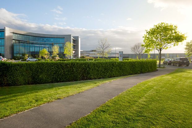 A landscaped pedestrian path crosses a neatly mown lawn beside a tall clipped hedge, with contemporary multi-storey commercial buildings featuring extensive blue-tinted glazing in the background. The scene is photographed outdoors in bright, low-angle sunlight.