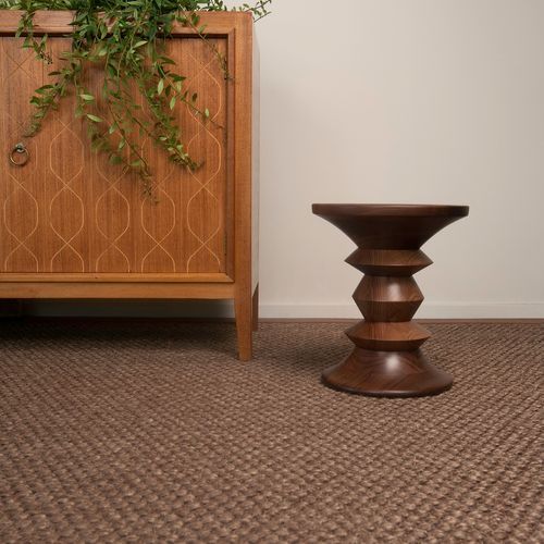 Sisal Rugs and Carpet