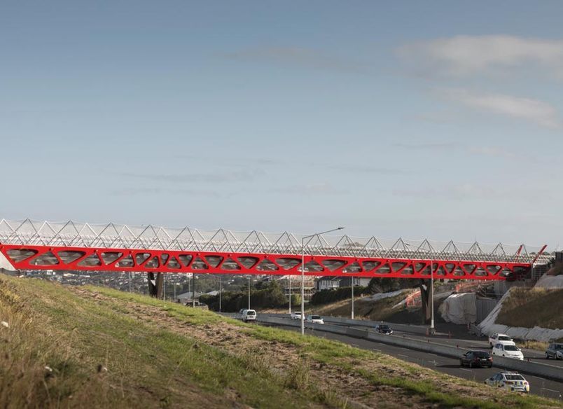 Tirohanga Whānui Bridge - anti-throw and fall protection mesh screens