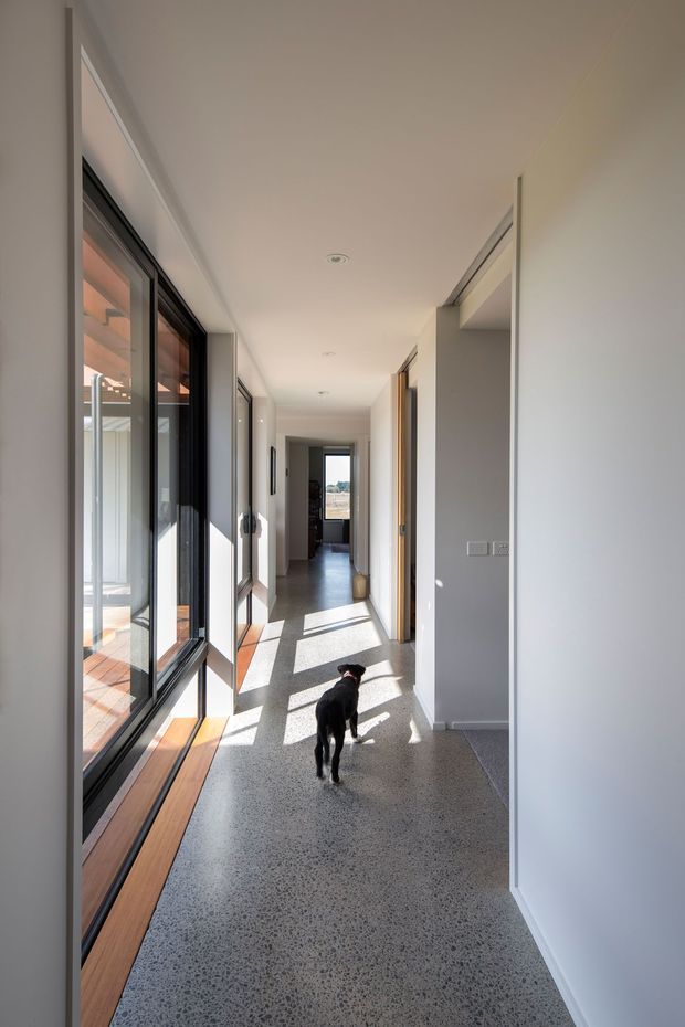 A bright, minimalist residential hallway with polished speckled concrete flooring, white walls and ceiling, and full-height black-framed glazing along one side. Warm timber window sills and decking are visible outside, with multiple doorways and built-in openings leading to other rooms. Strong sunlight creates long shadows across the corridor, and a black dog is walking through the space.