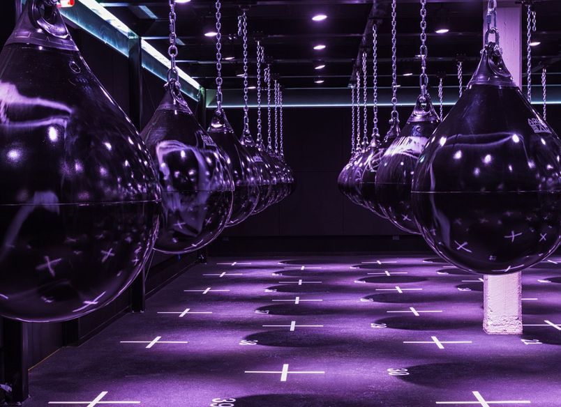 Studio Box, Auckland