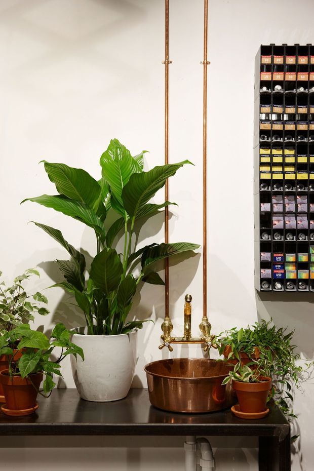 A compact indoor utility or wash area featuring a dark benchtop with a copper vessel sink and exposed copper plumbing, surrounded by several potted green plants. A wall-mounted rack of small labelled storage bins occupies the right side, while the white wall and warm metal fixtures create a vintage industrial feel.