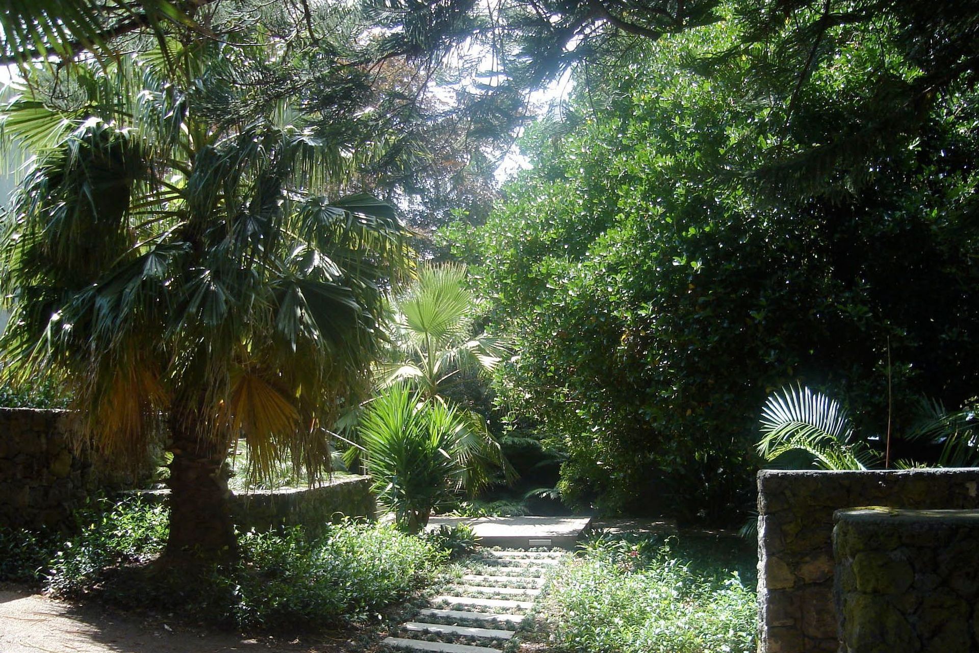 New walls and pathways articulate access to the garden