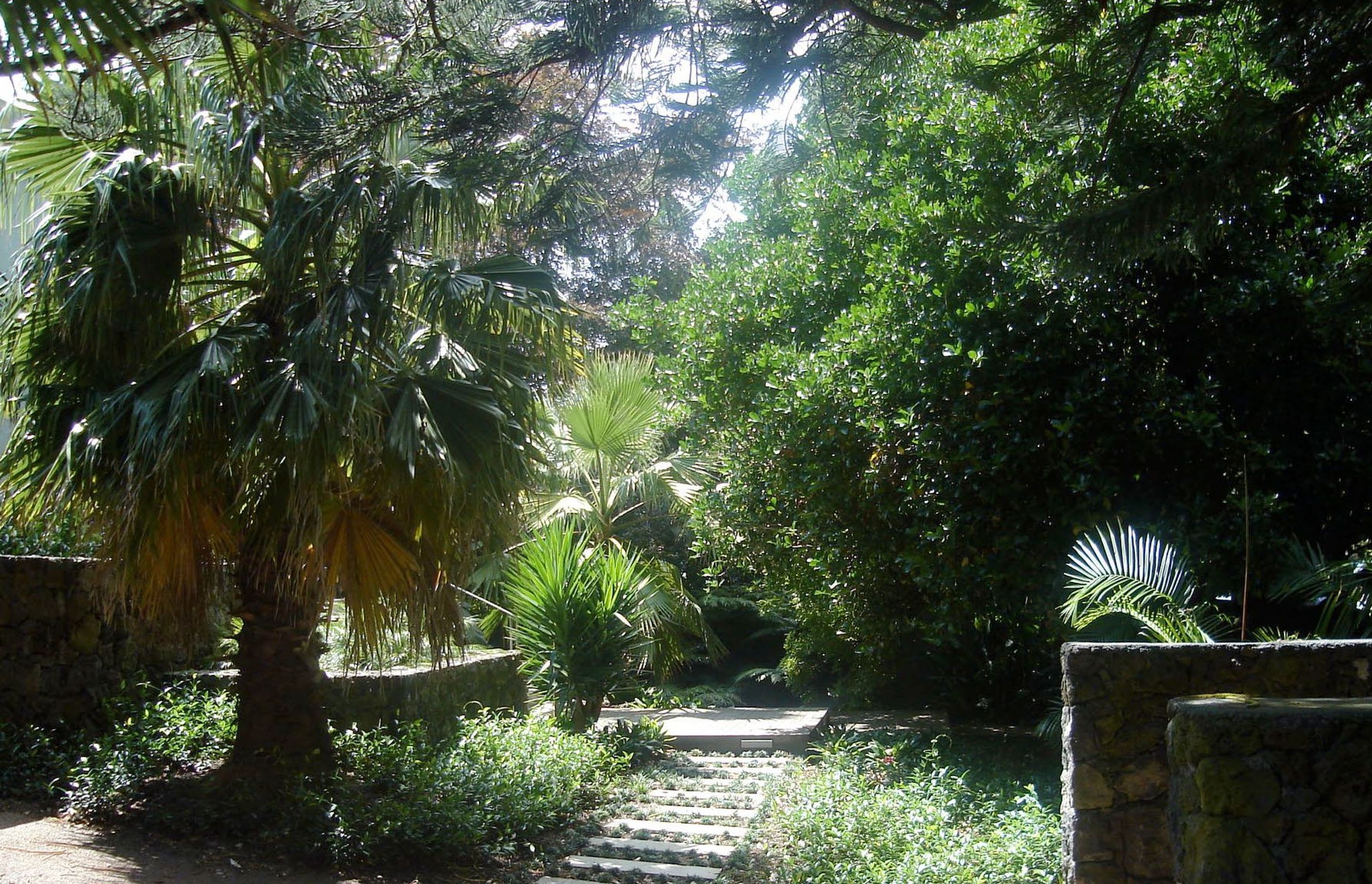 New walls and pathways articulate access to the garden