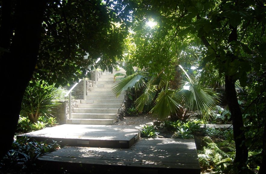 Subtropical Auckland Garden