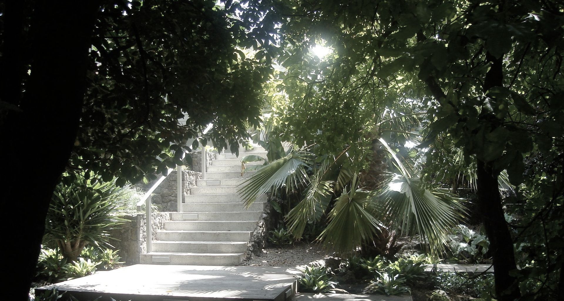 New steps and stone walls provide a elegant contract with the lush vegetation
