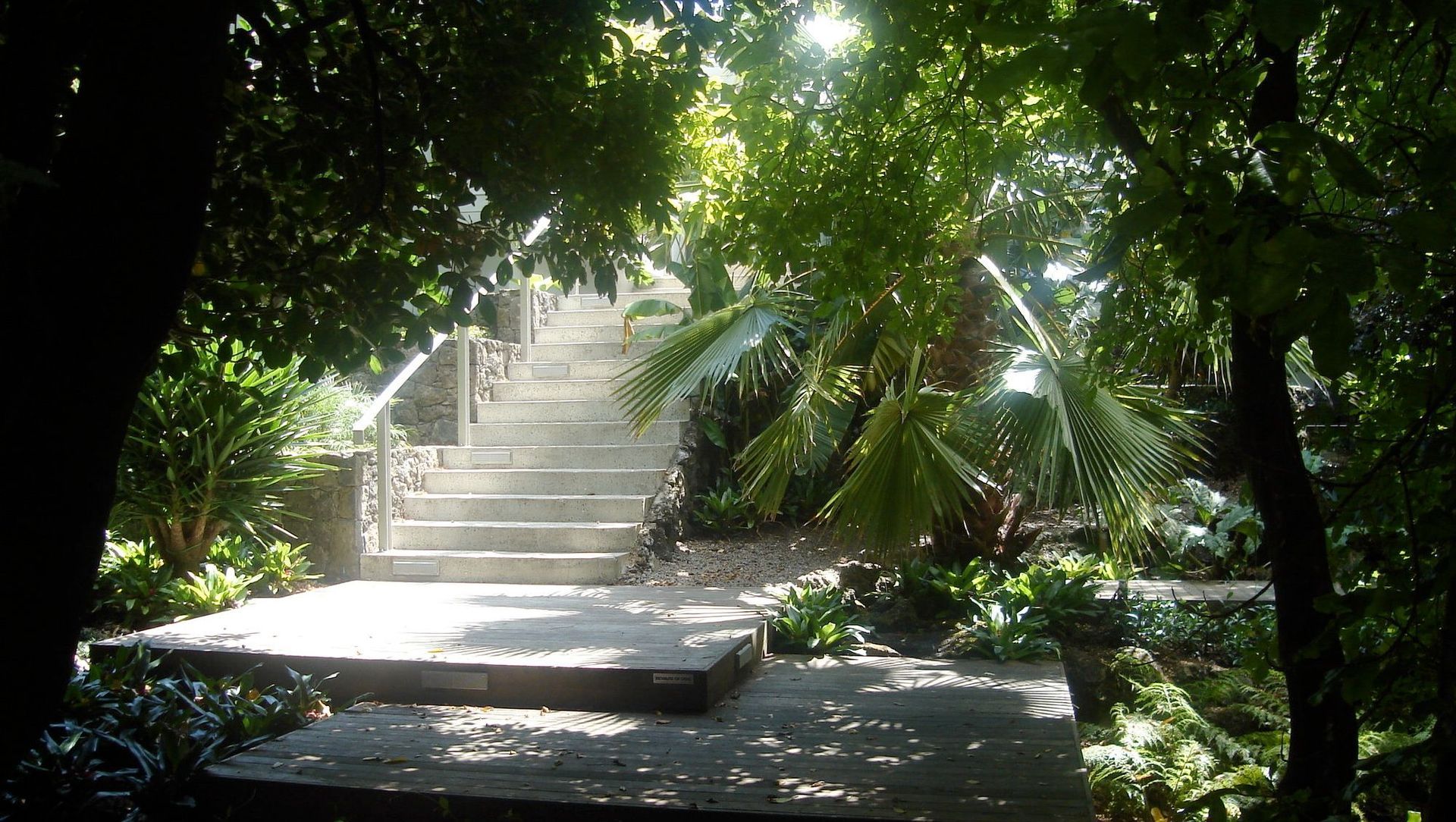 New steps and stone walls provide a elegant contract with the lush vegetation