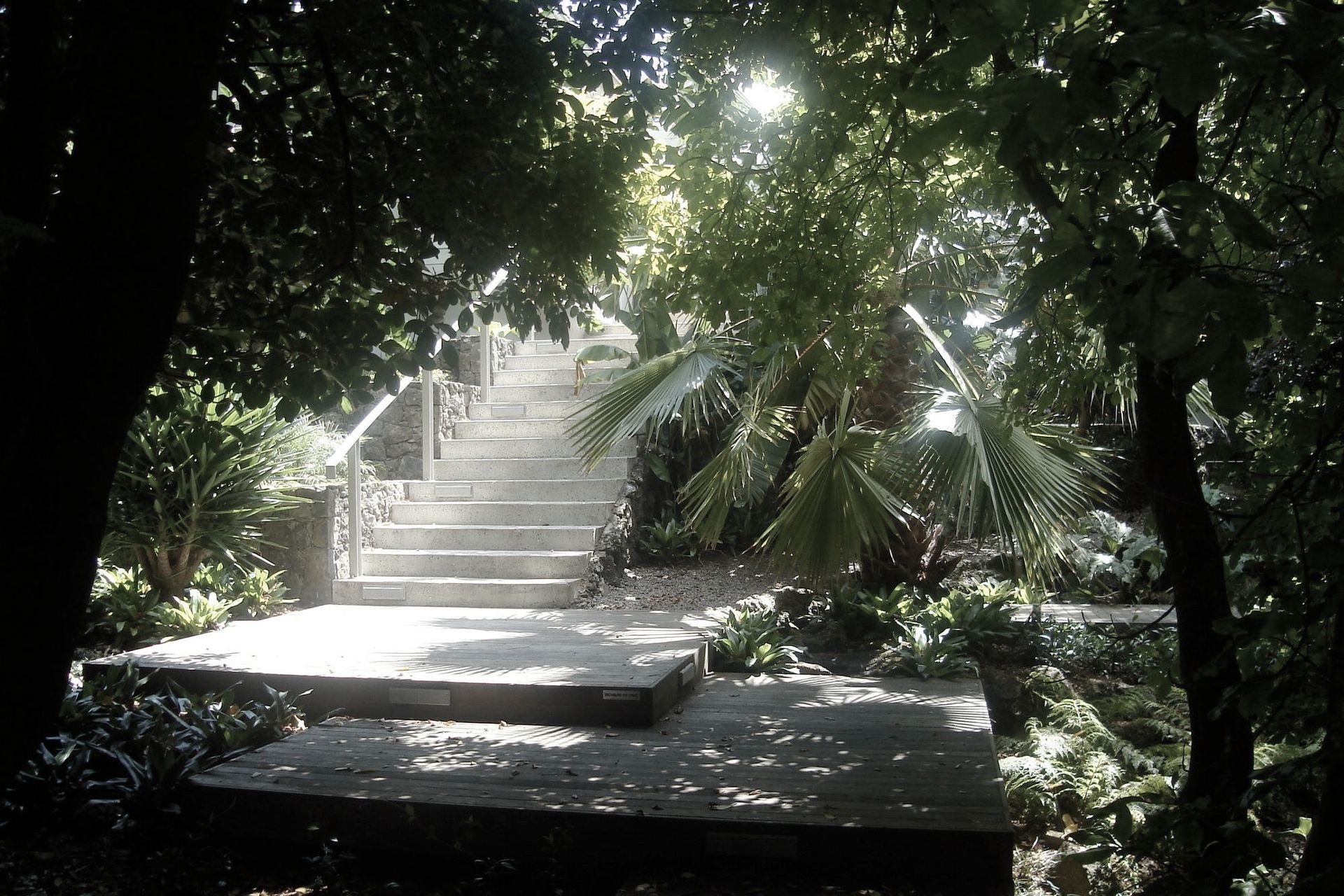 New steps and stone walls provide a elegant contract with the lush vegetation