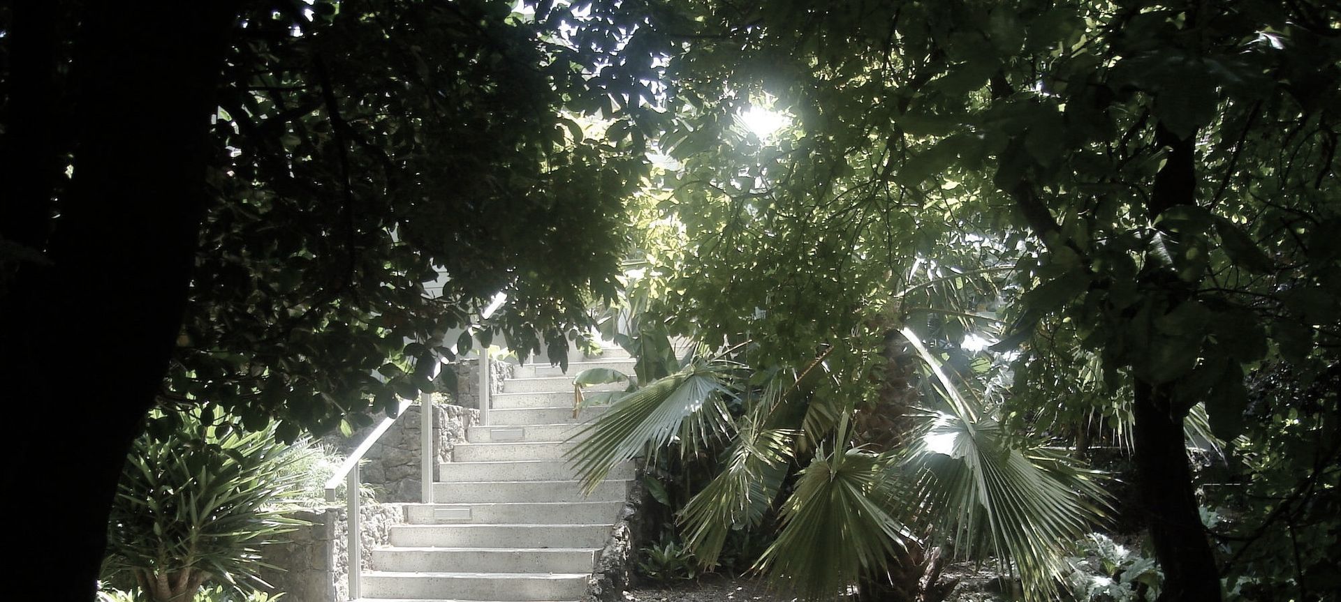 New steps and stone walls provide a elegant contract with the lush vegetation