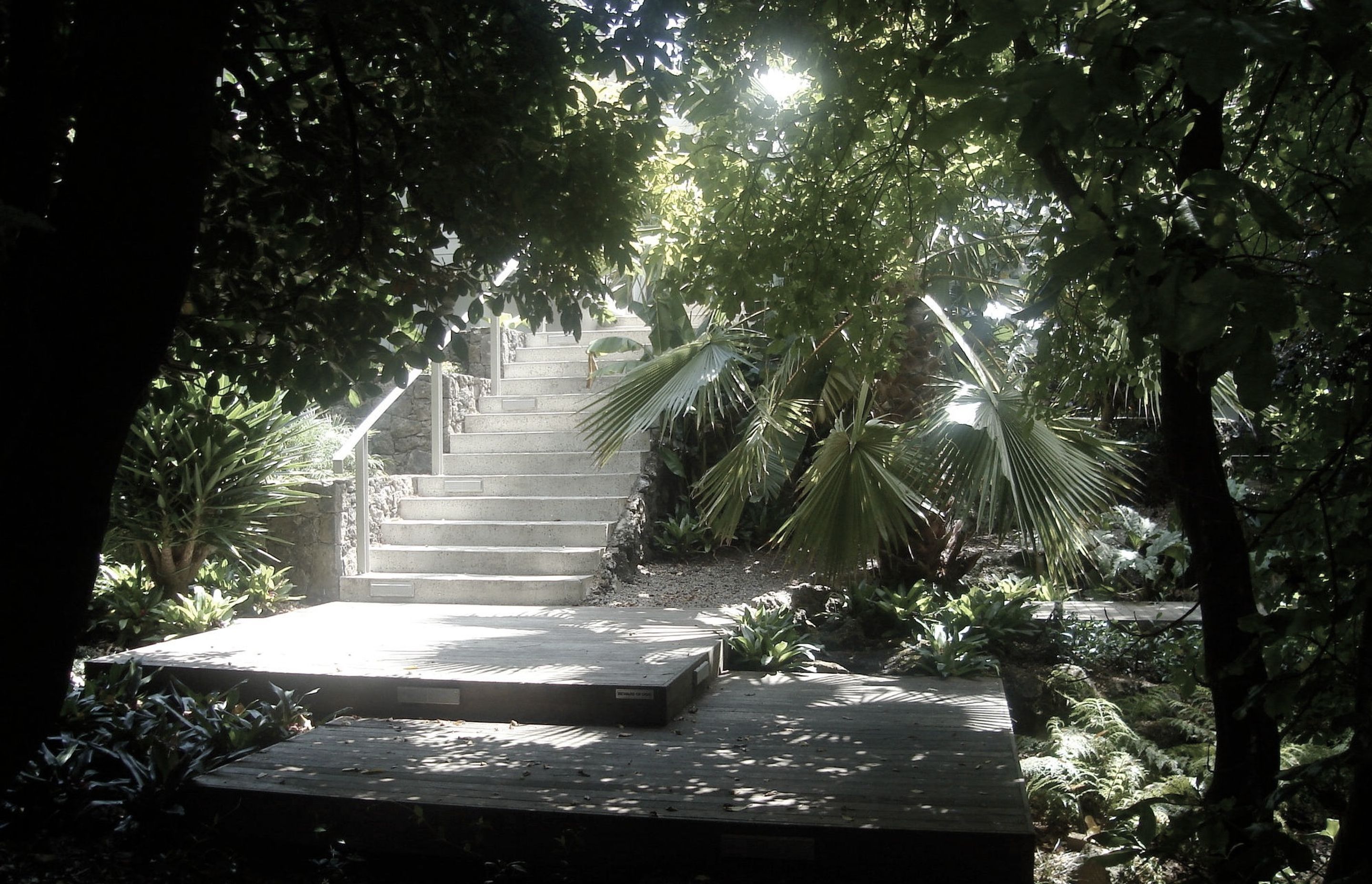 New steps and stone walls provide a elegant contract with the lush vegetation