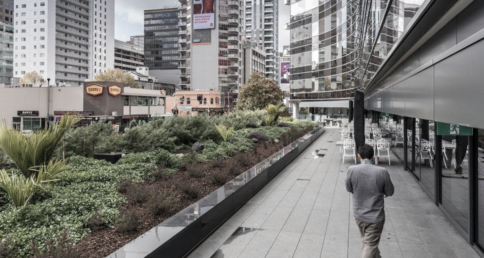 TVNZ Auckland banner