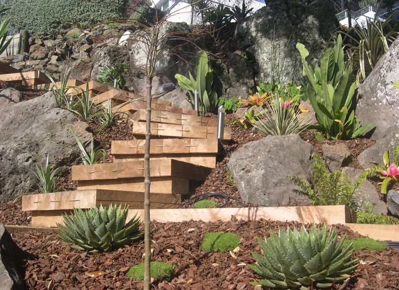 Takapuna Project