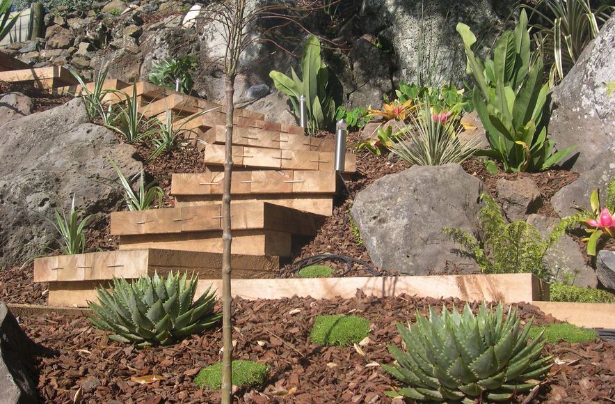Takapuna Project