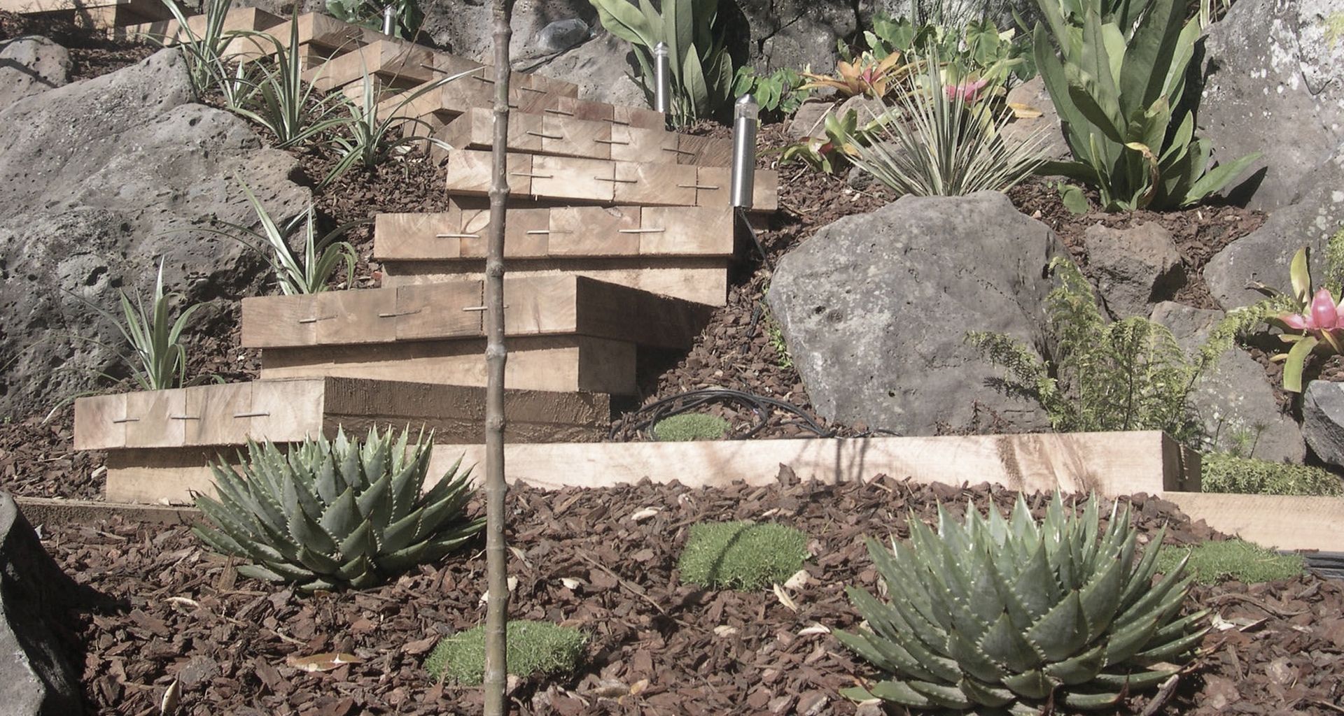 Takapuna Project banner