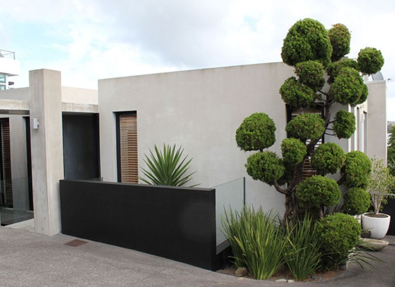 Takapuna Project